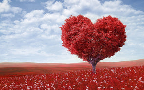 Colleen’s Journal: Fake Flowers Don’t Grow